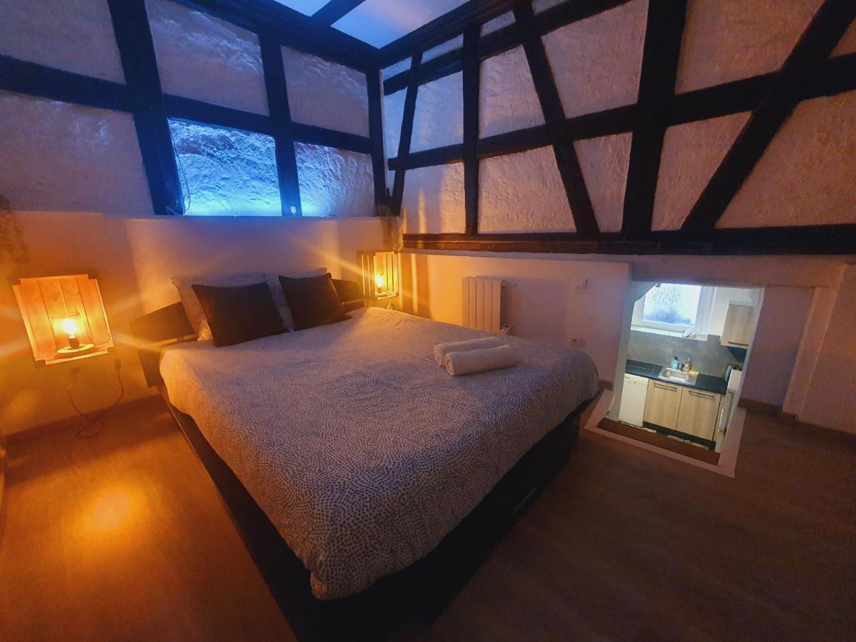 Aux Plaisirs D'Alsace Centre Historique Apartment Selestat Exterior photo